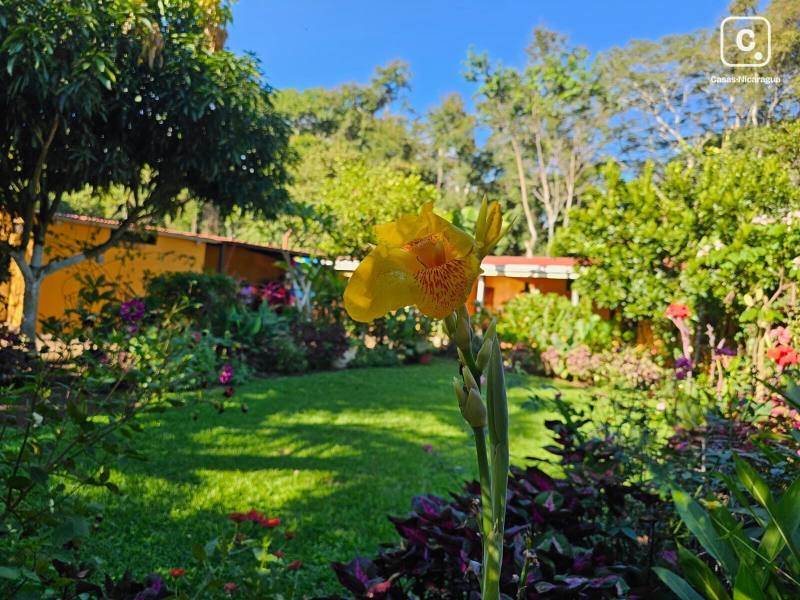Apartamento en venta en Diriamba, Carazo – 3 hab, 400 m²