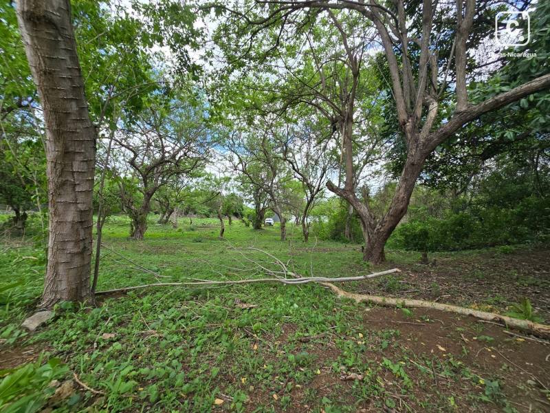 Finca en venta en Esquipulas, Managua – 2,018 varas²