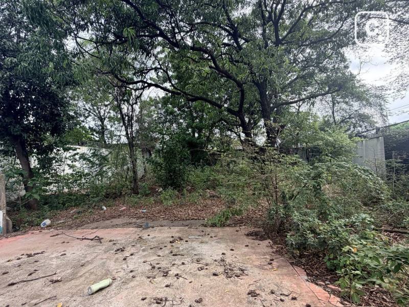 Terreno en venta en Mercado Oriental, Managua – 888 varas²