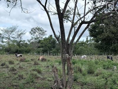 Terreno en venta en Carazo – 118,793 varas²