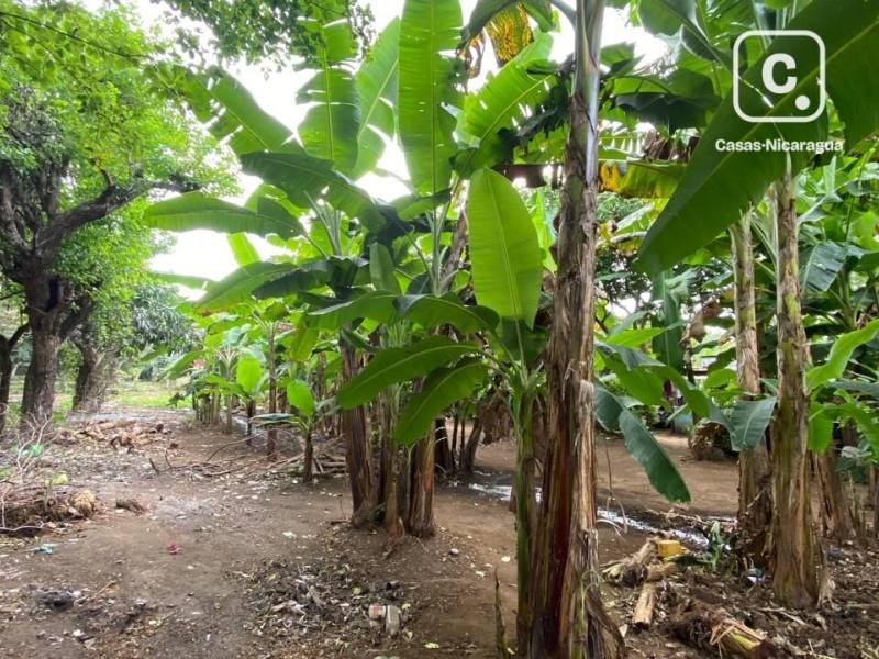 Lot for sale in Carretera a Ticuantepe, Managua – 1,042 m²