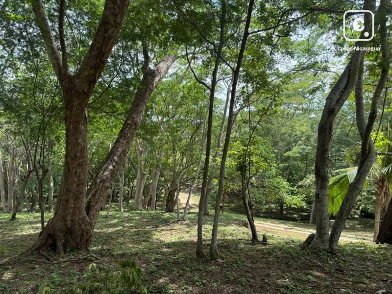 Farm for sale in San Isidro de Bolas, Managua – 2,143 m²