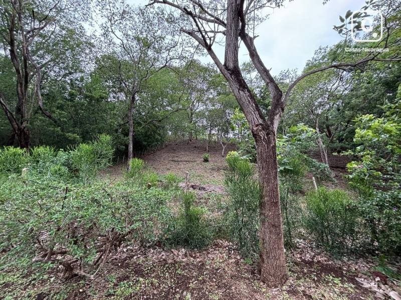 Local comercial en venta en Villa Fontana Sur, Managua – 5,825 varas²
