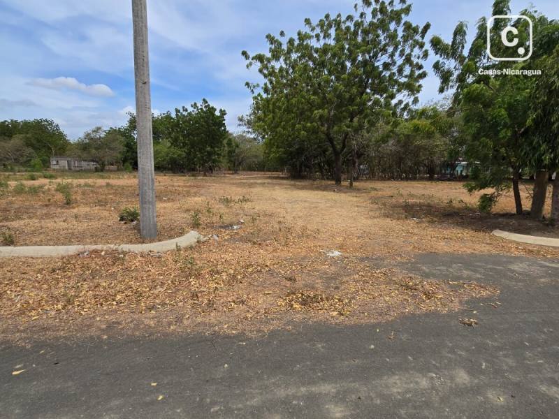 Lot for sale in Managua – 208 m²