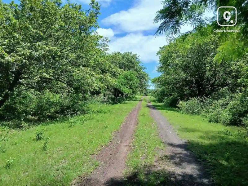 Lot for sale in Granada – 1,406 m²