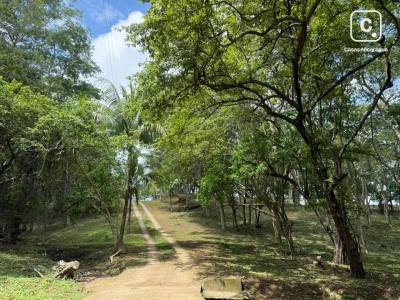 Terreno en venta en San Isidro de Bolas, Managua – 3,000 varas²