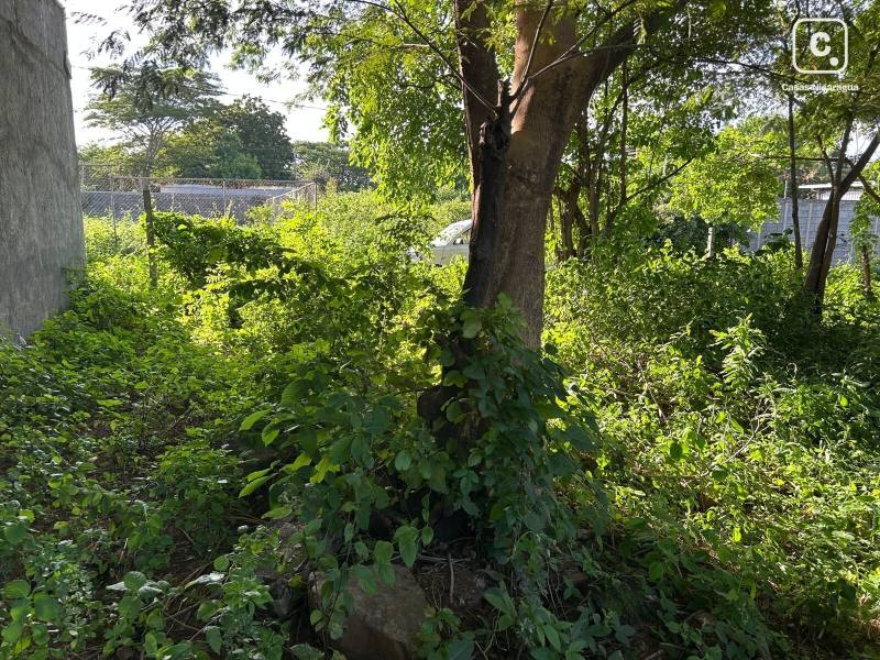 Terreno en venta en Ciudad Sandino, Managua – 489 varas²