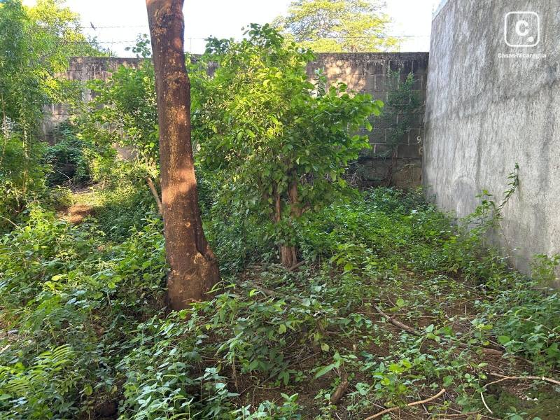 Lot for sale in Ciudad Sandino, Managua – 342 m²