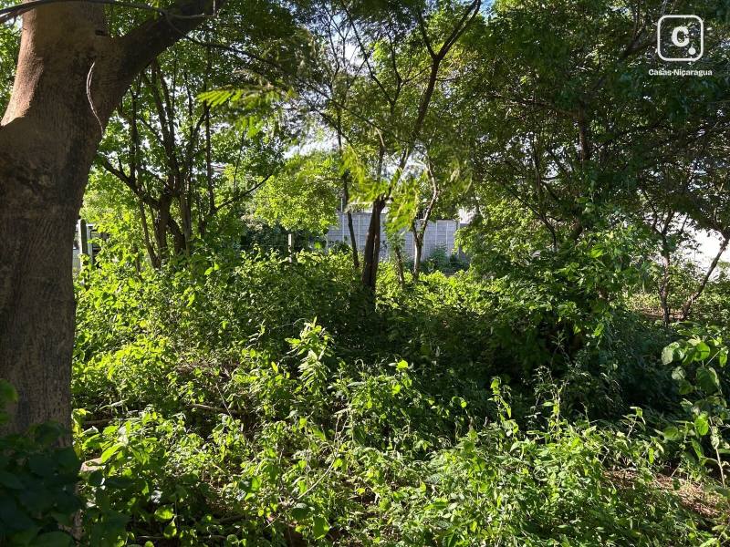 Terreno en venta en Ciudad Sandino, Managua – 489 varas²