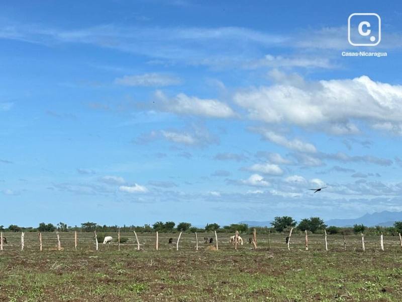 Terreno en venta en Carretera Norte, Managua – 550,006 varas²