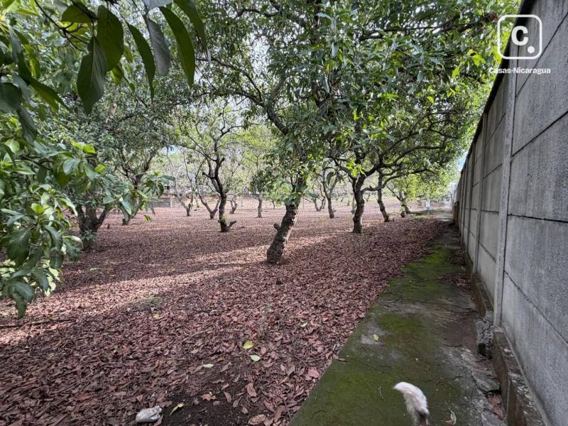 Bodega en alquiler en Masaya – 7,556 varas²