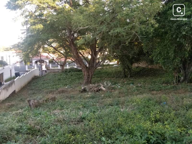 Apartamento en venta en Estancia de Santo Domingo, Managua – 1,841 varas²