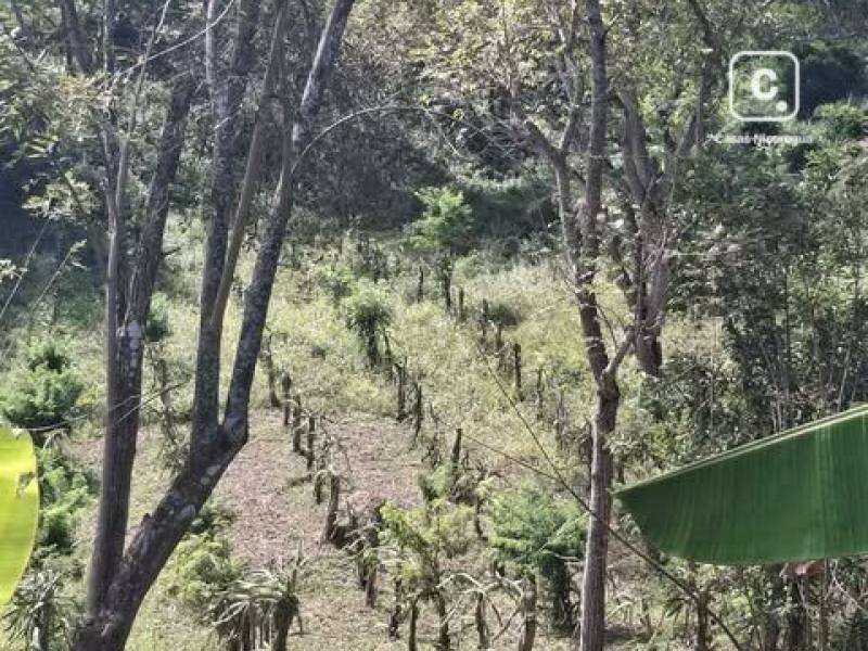 Farm for sale in Masatepe, Masaya – 63,009 m²