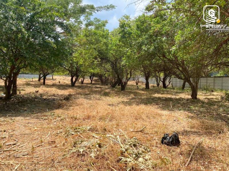 Casa en venta en Managua – 5,589 m²
