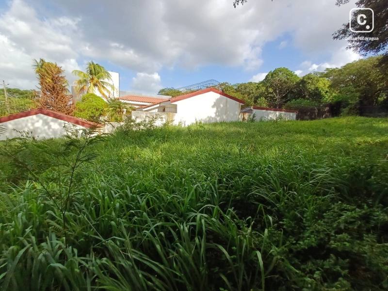 Terreno en alquiler en Villa Fontana, Managua – 1,431 varas²