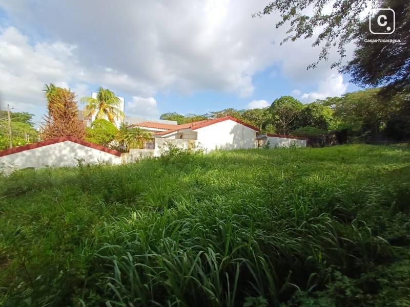 Terreno en alquiler en Villa Fontana, Managua – 1,431 varas²