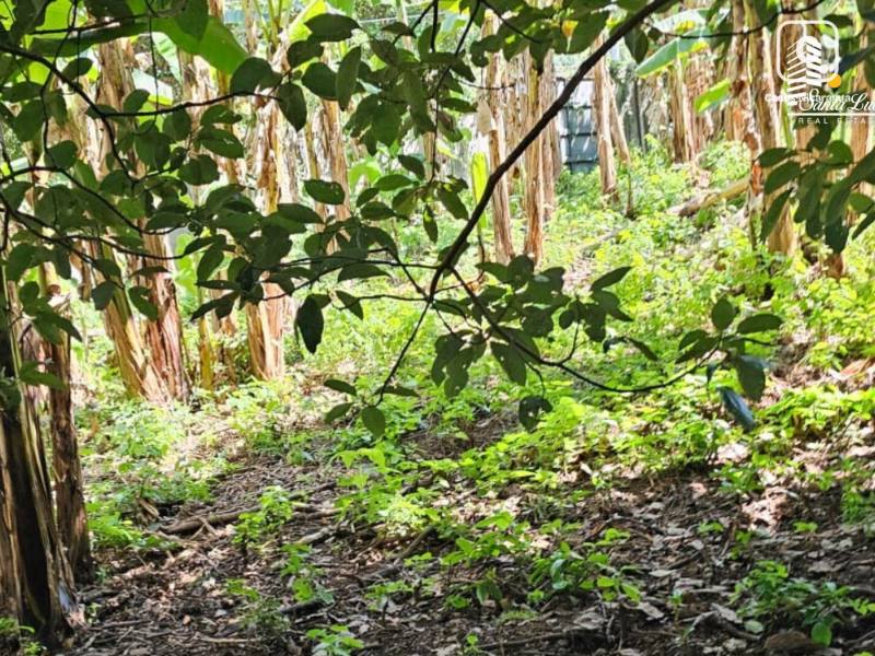 Casa en venta en Carretera Sur, Managua – 1,728 m²