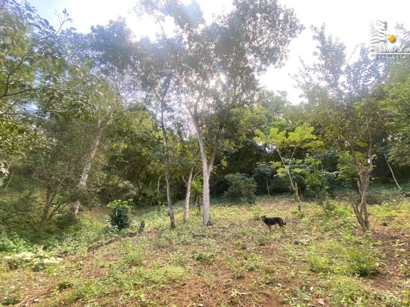 Casa en venta en Carretera Masaya, Managua – 10,138 m²