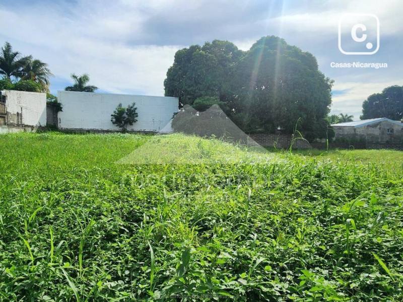 Terreno en venta o alquiler en Planes de Altamira, Managua – 2,660 varas²