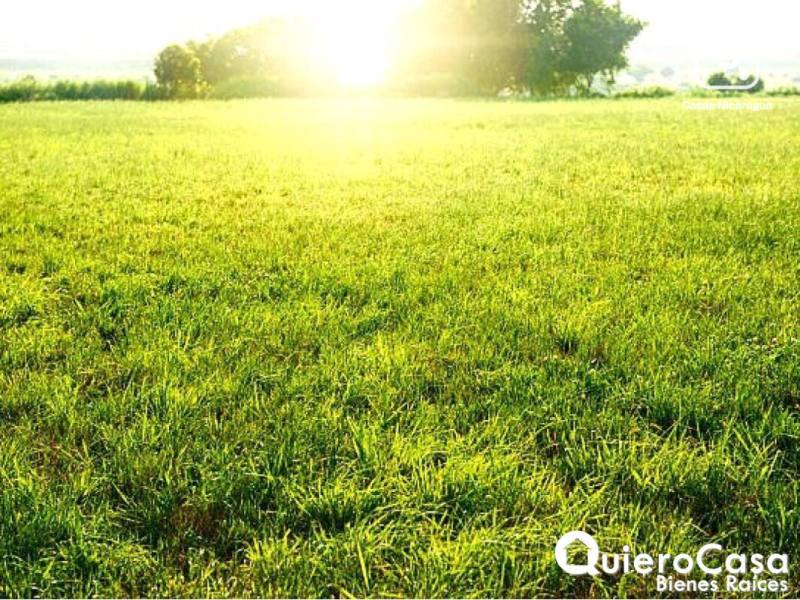 Terreno en venta en Sábana Grande, Managua – 17,467 m²