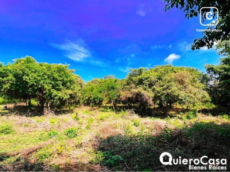 Terreno en venta en Esquipulas, Managua – 1,397 m²