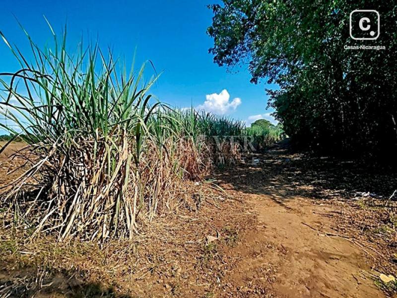 Terreno en venta en Chinandega – 120,000 varas²