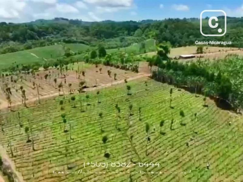 Finca en venta en Jinotega – 1,312,602,835 varas²