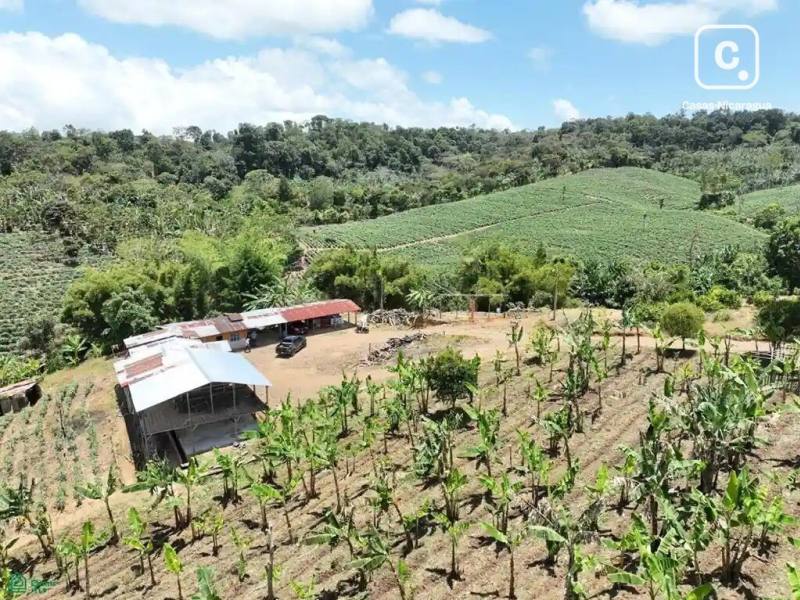 Finca en venta en Jinotega – 329,622 varas²