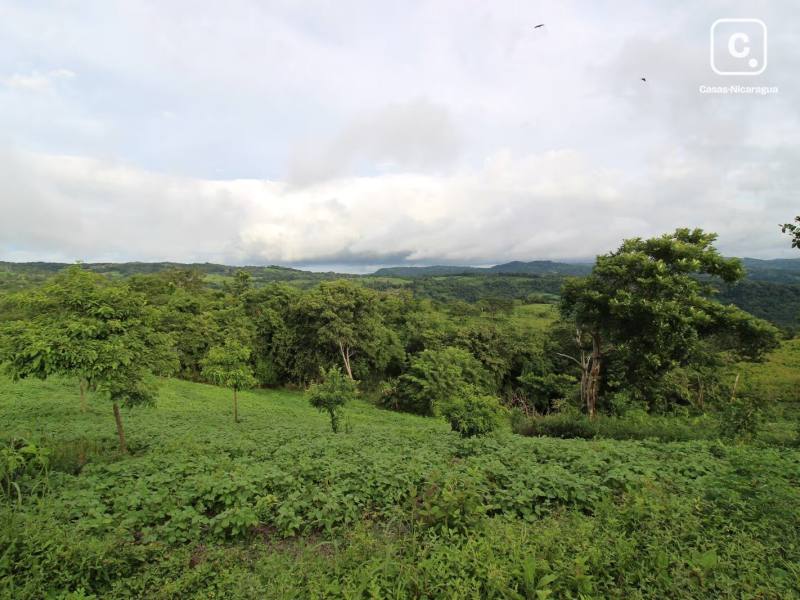 Casa en venta en San Juan del Sur, Rivas – 1 hab, 50 m²