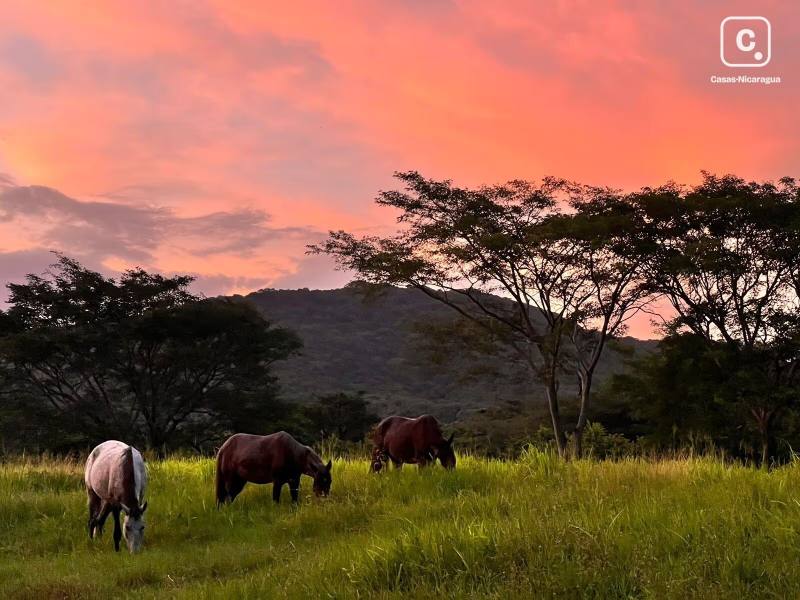 Finca en alquiler en San Juan del Sur, Rivas – 1 hab, US$ 550/mes