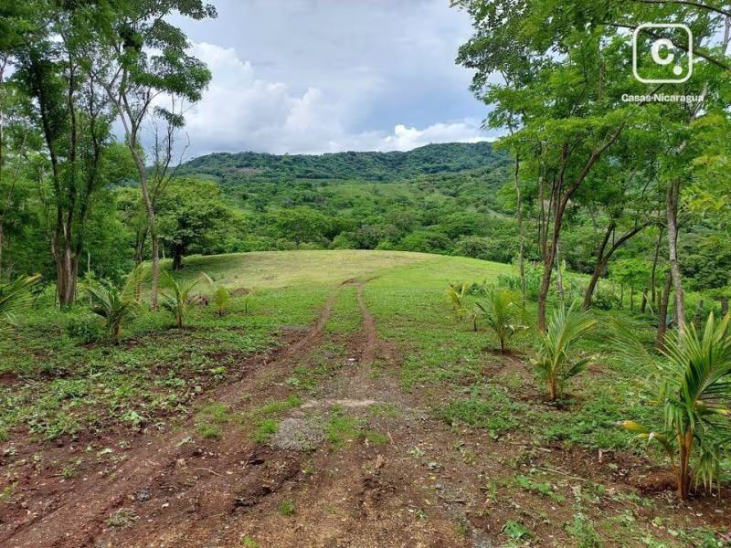 Finca en venta en El Remanso, Rivas – 45,177 varas²