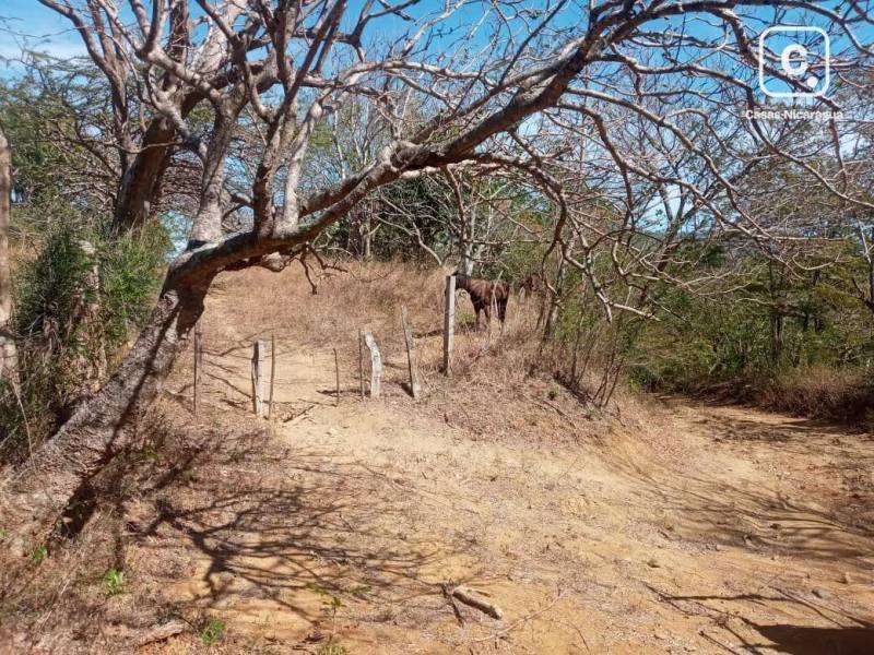 Terreno en venta en San Juan del Sur, Rivas – 42,492 m²