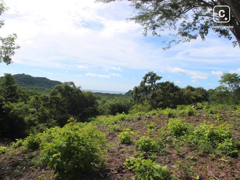 Finca en venta en San Juan del Sur, Rivas – 20,271 varas²