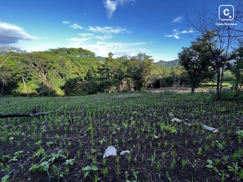 Finca en venta en San Juan del Sur, Rivas – 12,140 m²