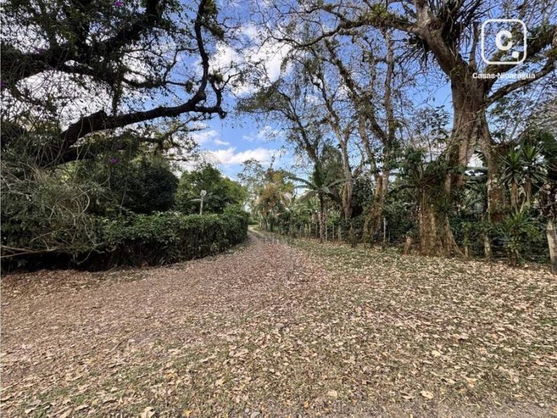 Finca en venta en San Ramon, Matagalpa – 200 m²