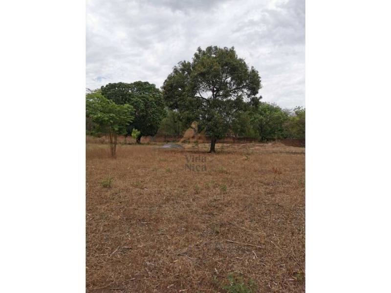 Terreno en venta en Masaya – 10,000 m²