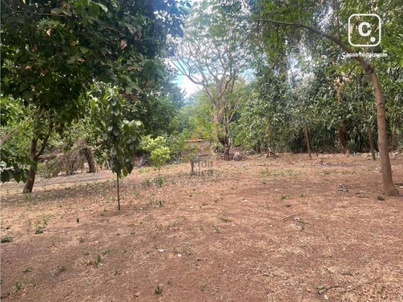 Terreno en venta en Carretera Vieja a León, Managua – 3,222 m²
