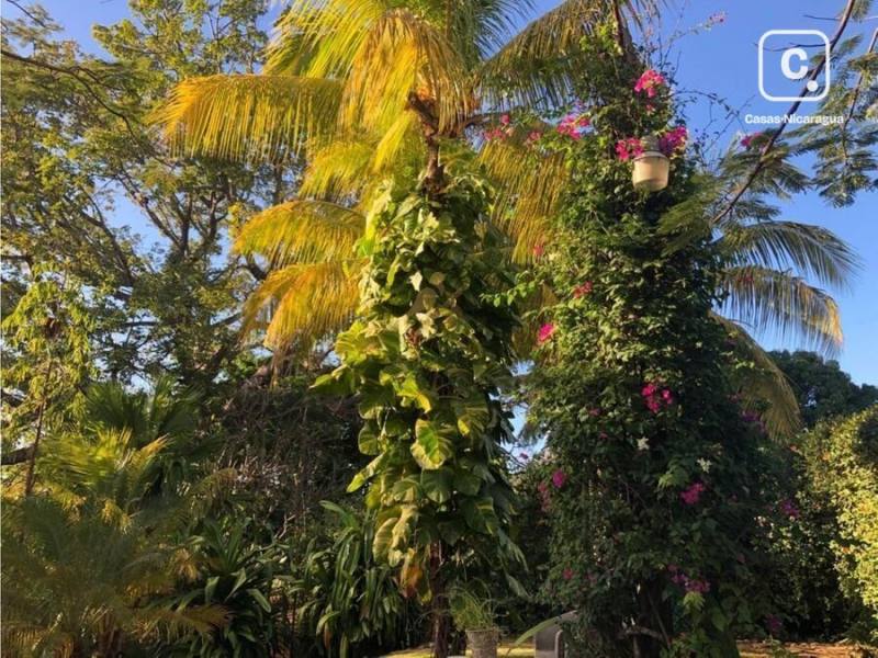Casa en venta en Santo Domingo, Managua – 4 hab, 390 m²