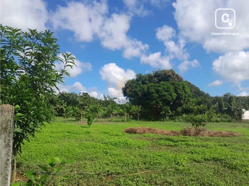 Terreno en venta en Nindirí, Masaya – 1,242 m²