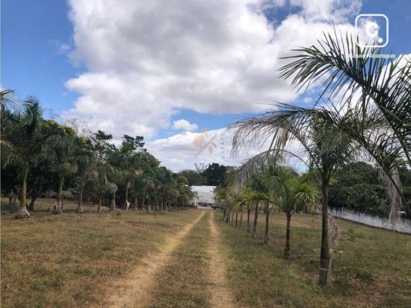 Terreno en venta en Santo Domingo, Managua – 12,135 m²