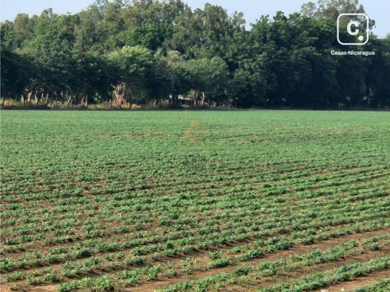 Terreno en venta en Managua – 155,102 m²