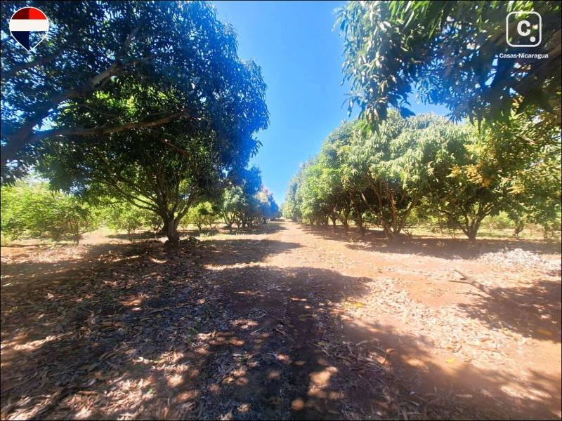 Finca en venta en Nindirí, Masaya – 40 m²
