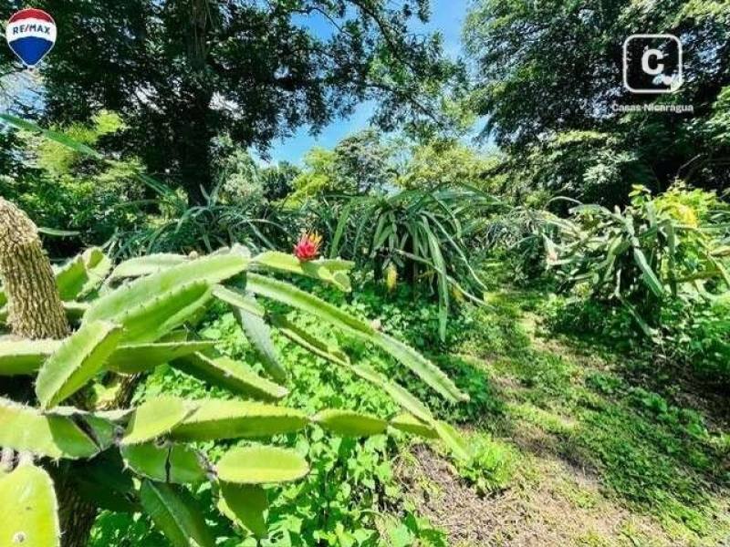 Finca en venta en Diriamba, Carazo – 1 hab, 360,109 m²