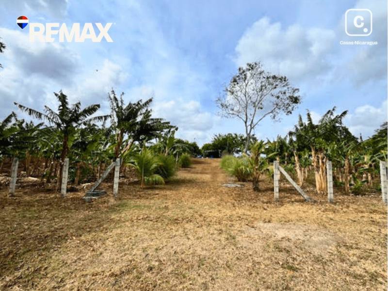 Finca en venta en Masatepe, Masaya – 32,978 m²