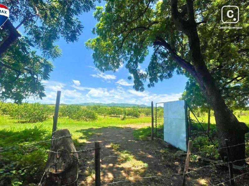 Finca en venta en Carretera Nueva León, Managua – 1 hab, 119 m²
