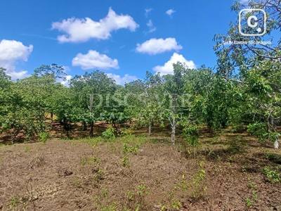 Finca en venta en Masatepe, Masaya – 2 hab, 40 m²