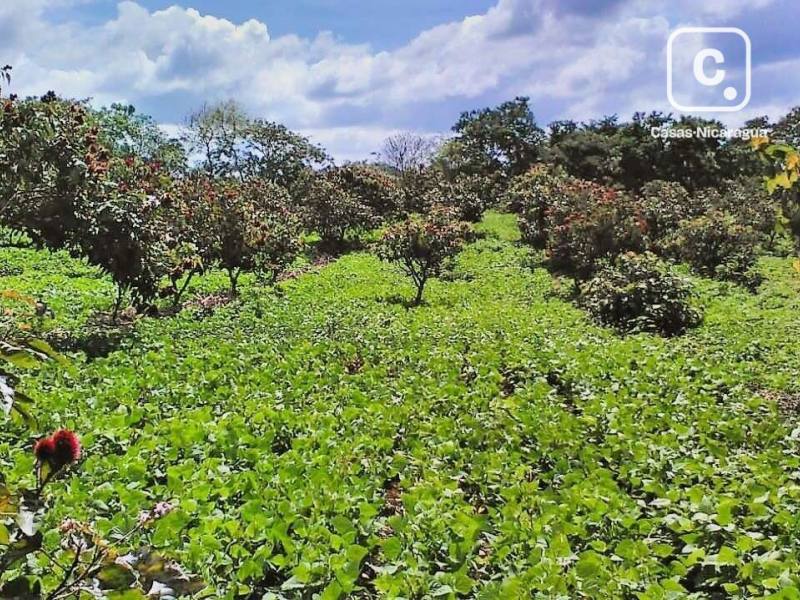 Finca en venta en Nindirí, Masaya – 139,740 m²