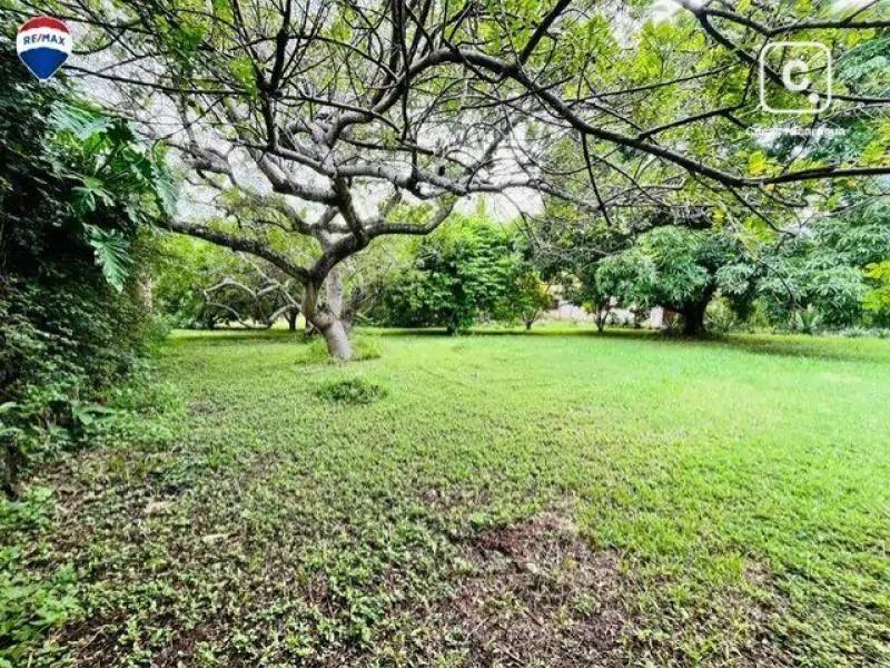 Terreno en venta en Granada – 1,467 m², US$ 50,000