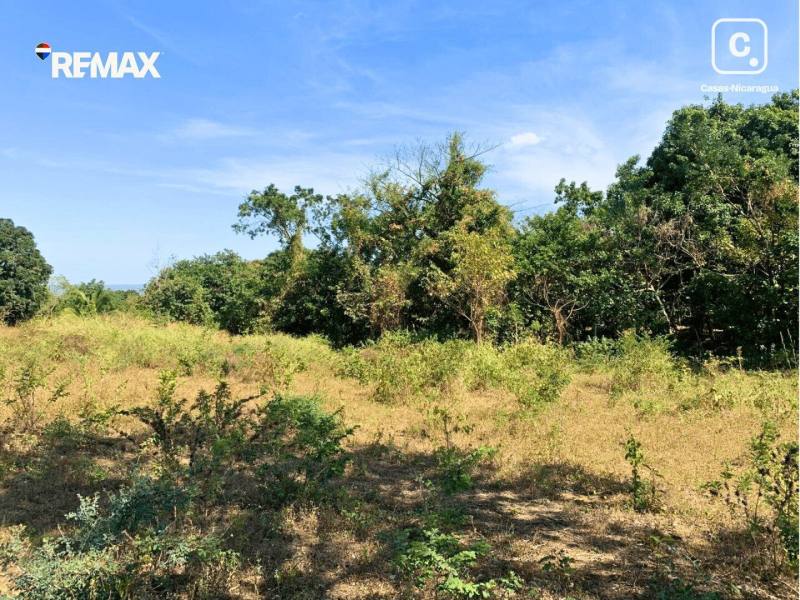 Local comercial en venta en Managua – 25,000 varas²
