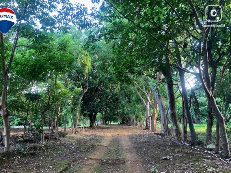 Terreno en venta en Carretera Masaya, Managua – 5,240 m², US$ 172,500